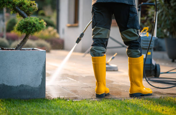 Best Exterior Home Cleaning  in Gwinn, MI